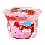 Mother Dairy - Raspberry Yogurt