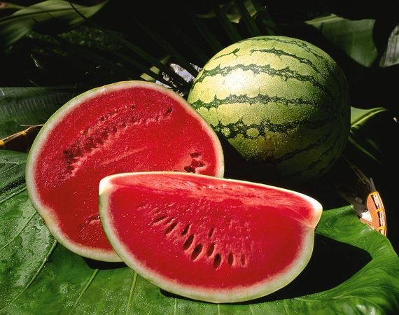 Water Melon (kiran) - Tarbooj/ Kalinger