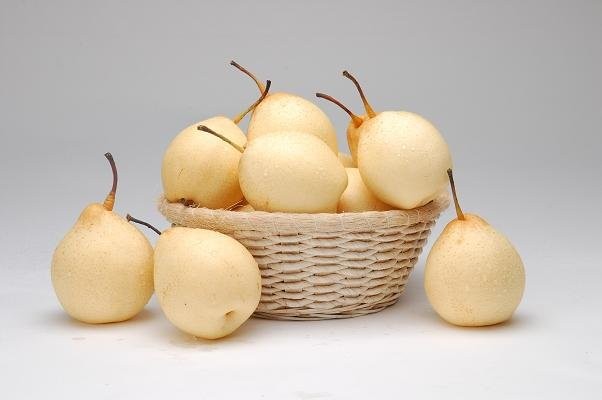 Ya Pear Shandong