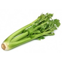 Celery - Grade A Quality