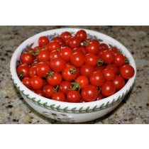 Cherry Tomato - Grade A Quality