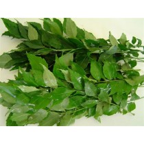 Curry Leaves - Grade A