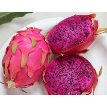 Dragon Fruit Imported - Pitaya