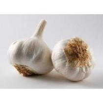 Garlic - Lahsun