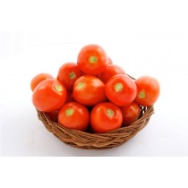 Tomato Hybrid - Grade A