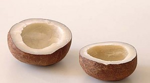 Coconut - Dry