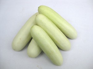 Cucumber - White