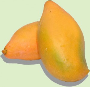 Mango - Thotapuri