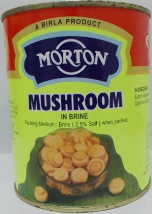 Morton - Mushroom In Brine