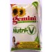 Gemini Refined Oil - Sunflower with Nutri-V