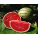 Water Melon (kiran) - Tarbooj/ Kalinger